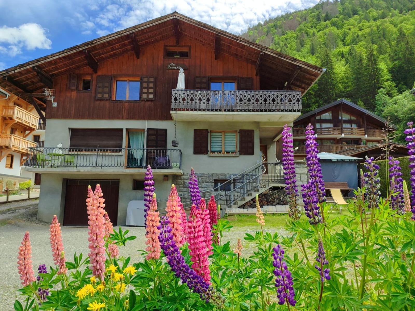 Appartement Meuble Classe 3 Etoiles De 72 M2, 2 Chambres Morzine Dış mekan fotoğraf